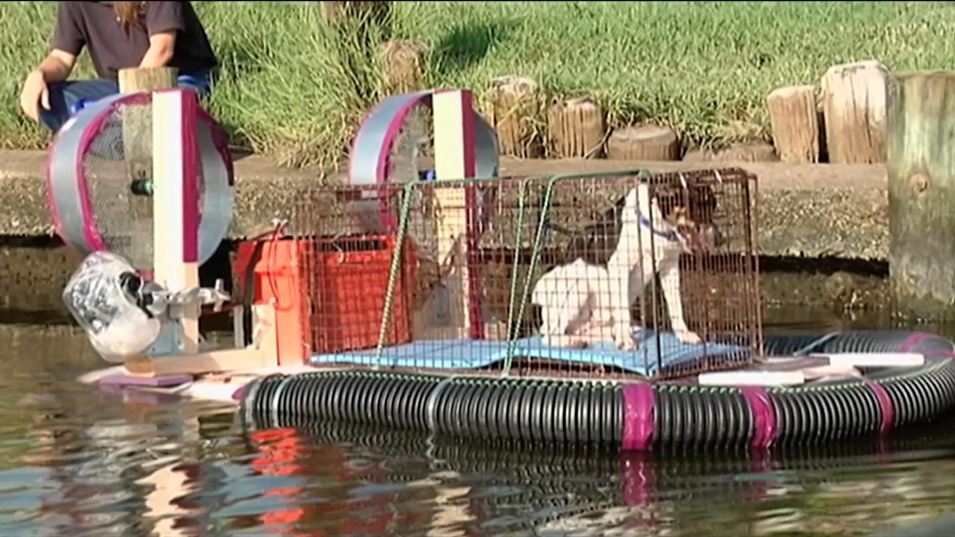 The Design Squads build remote-controlled, aquatic pet rescue vehicles.