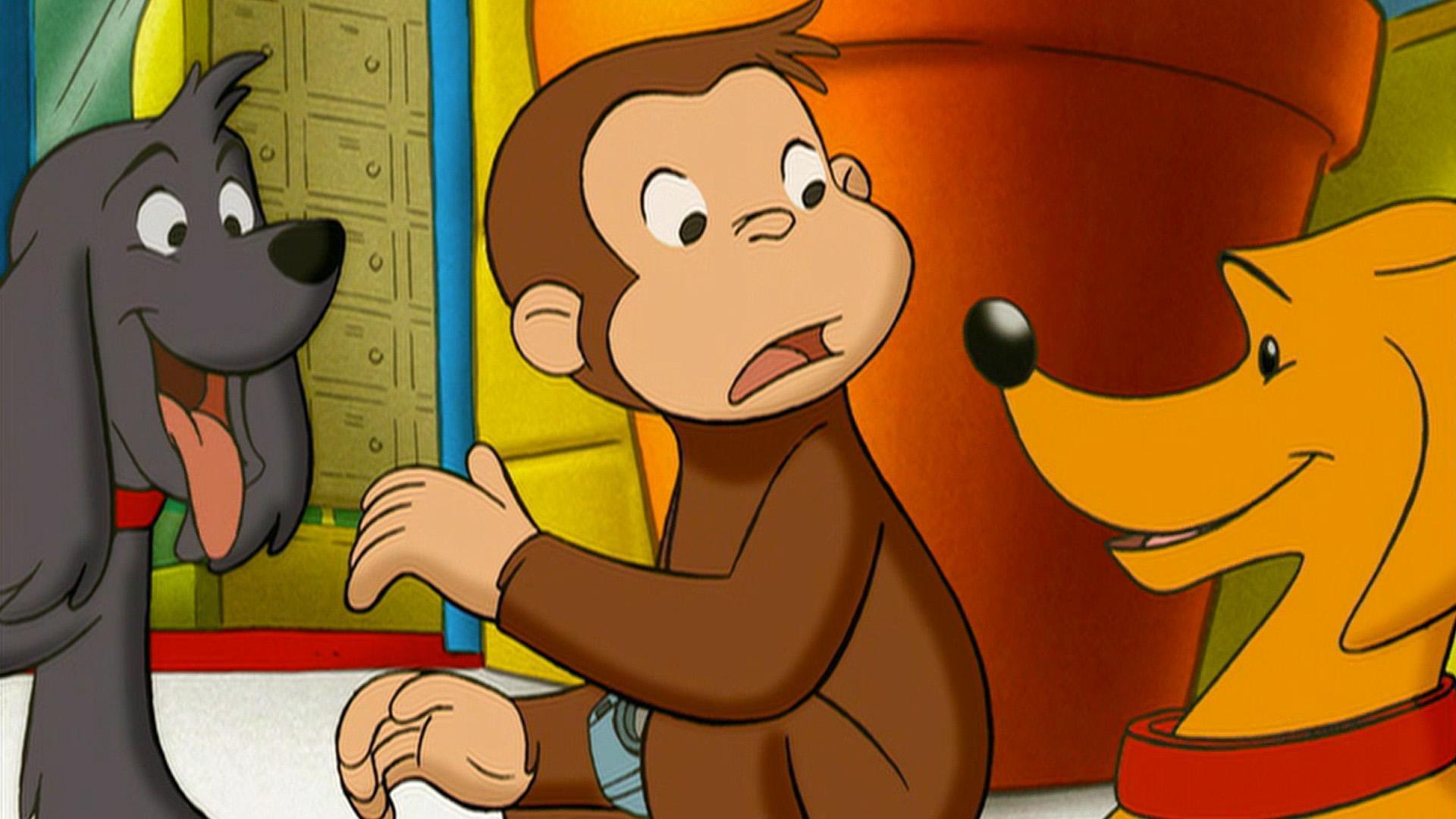 George sets out to solve a mystery. / George gathers signs from all around the town.