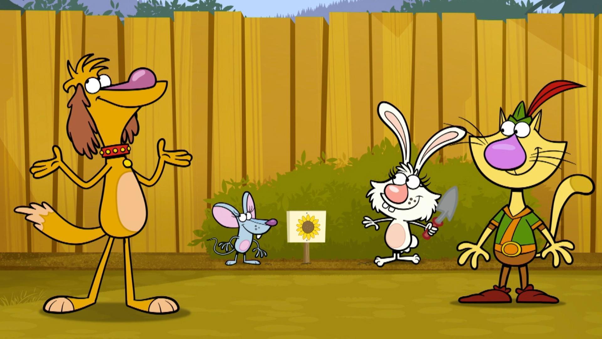 The gang replants their favorite sunflower./The crew uncovers the mystery of mossy trees.