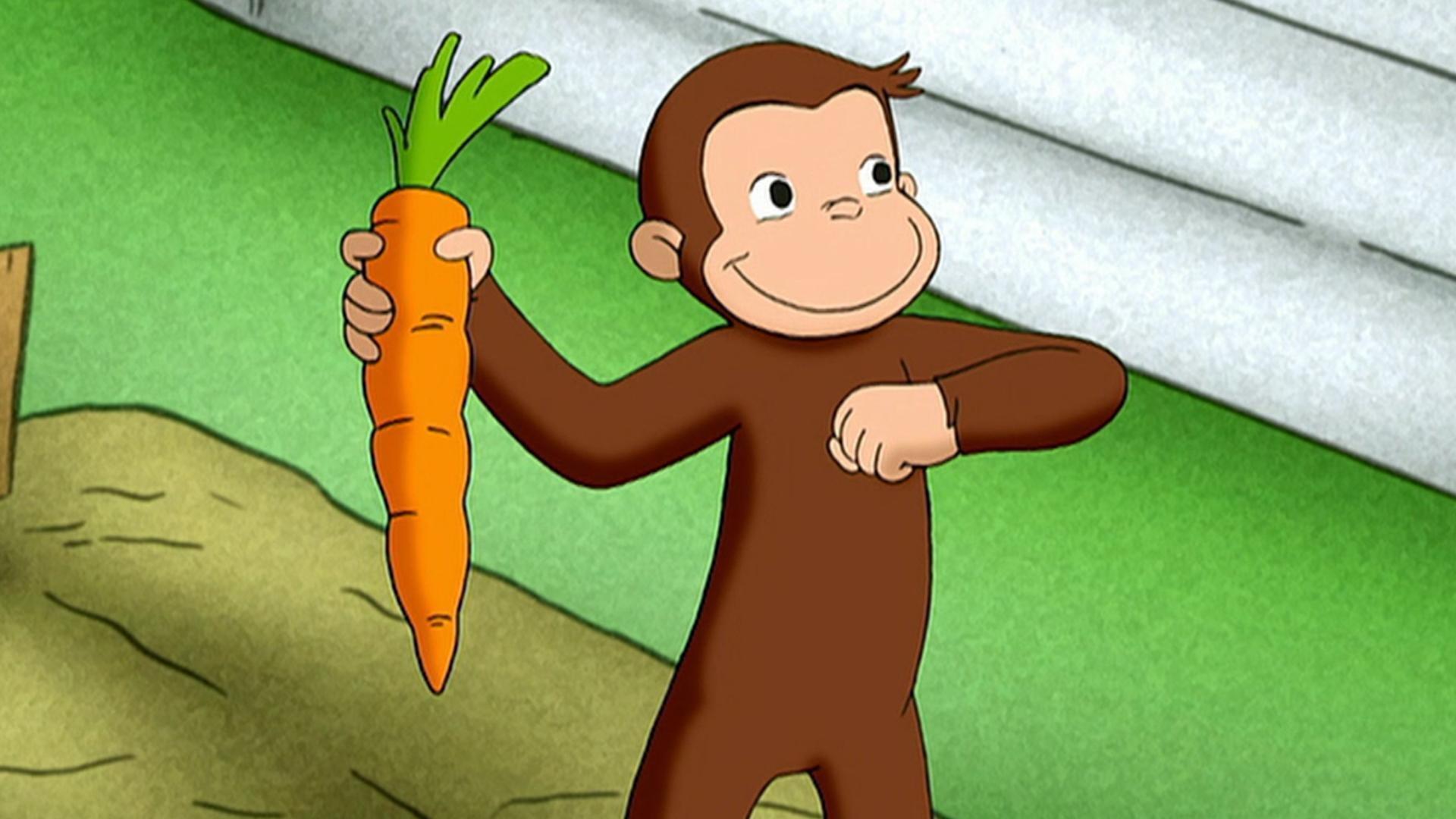 George has a research assignment in the Antarctic! / George wants to grow his own carrots!