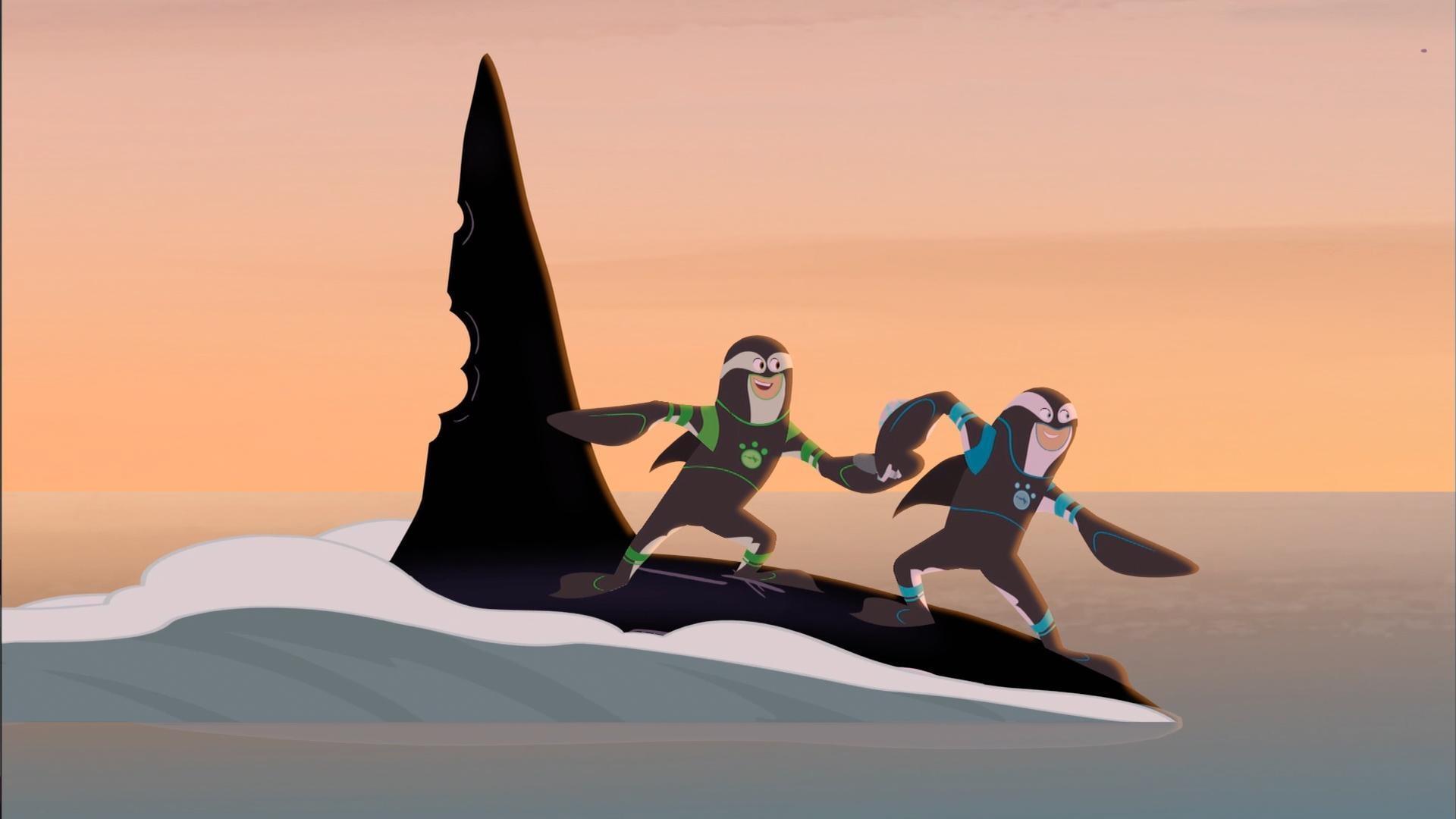 The Kratts search for an old wily orca that only eats sharks!